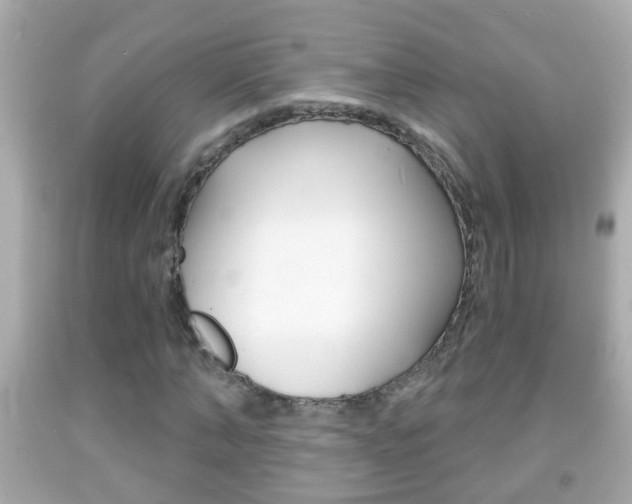 X0000092040870200709121003