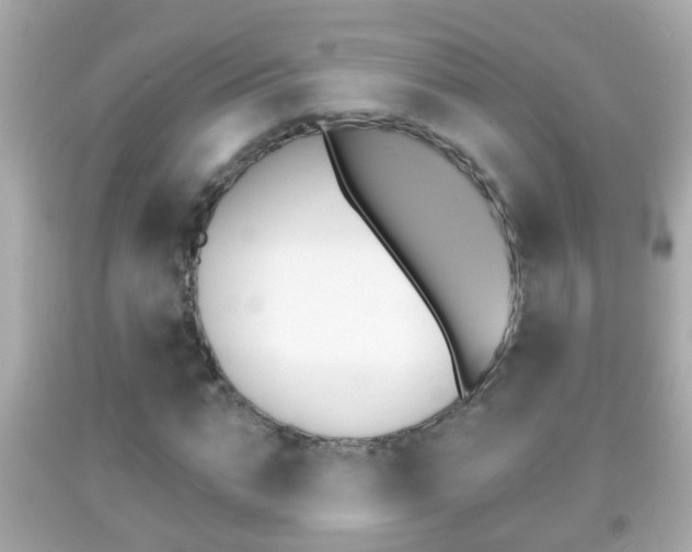 X0000092040871200709121003