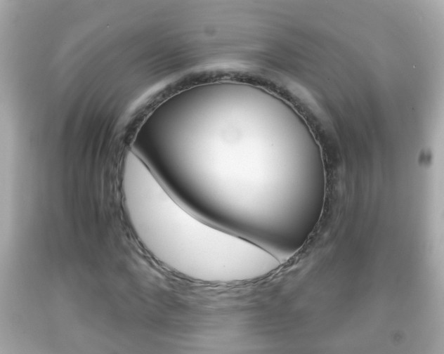 X0000092040872200709121003