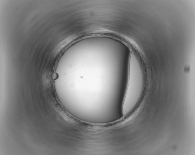 X0000092040873200709121003