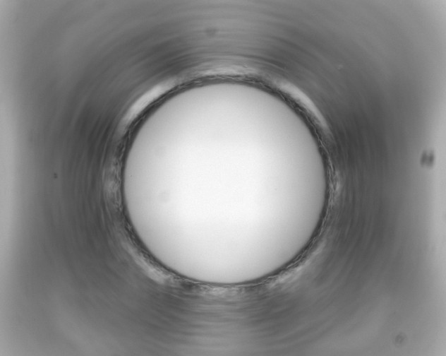 X0000092040874200709121003