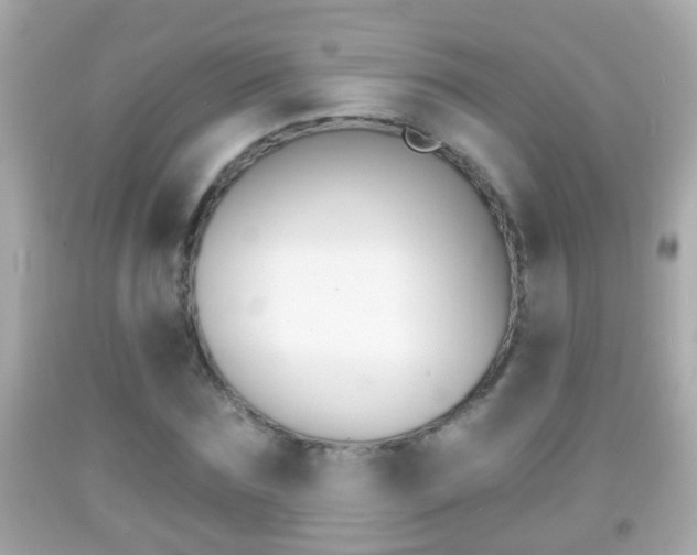 X0000092040875200709121003