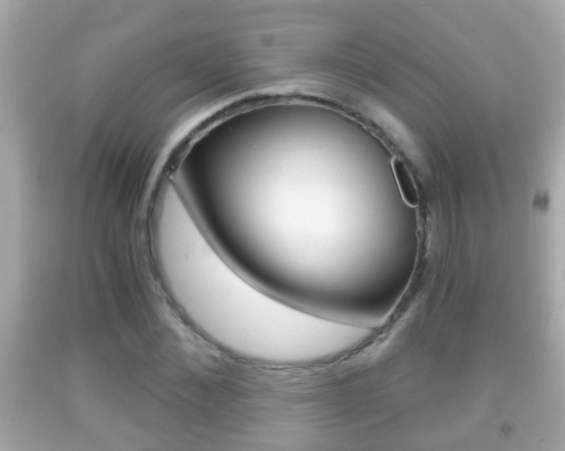 X0000092040876200709121003