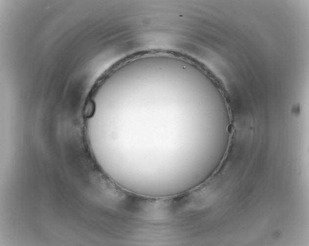 X0000092040879200709121003