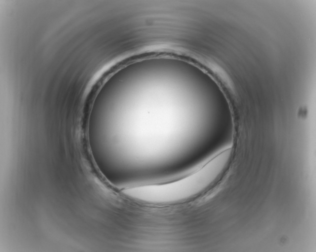 X0000092040880200709121003