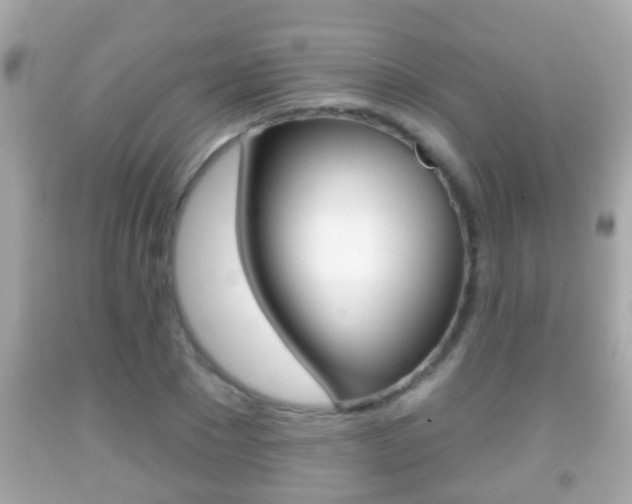 X0000092040881200709121003