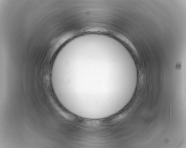 X0000092040882200709121003