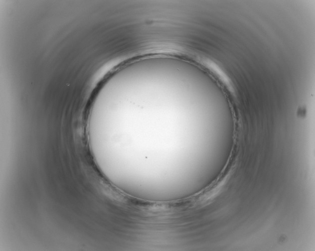 X0000092040883200709121003
