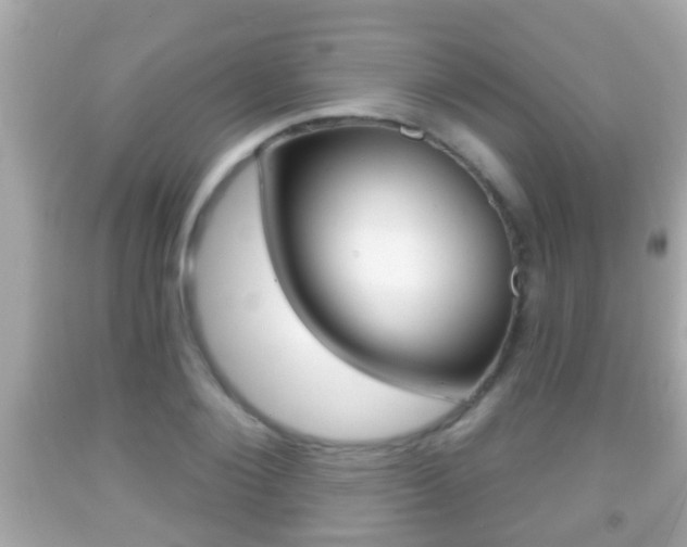 X0000092040884200709121003