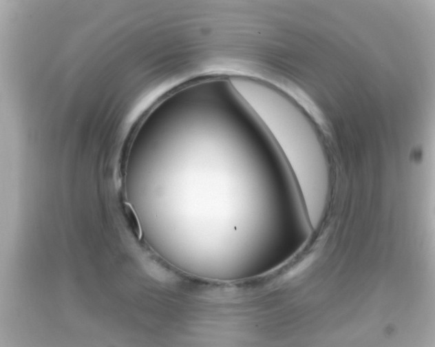 X0000092040885200709121003