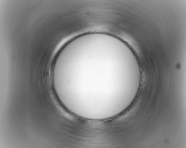X0000092040886200709121003