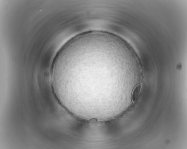 X0000092040887200709121003