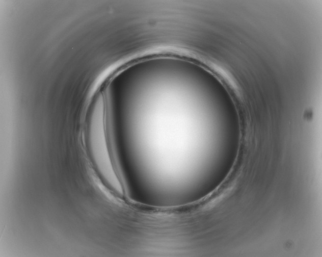 X0000092040888200709121003