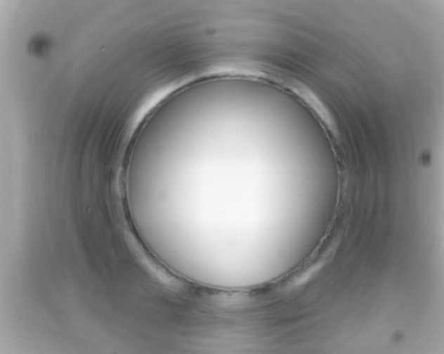 X0000092040893200709121003