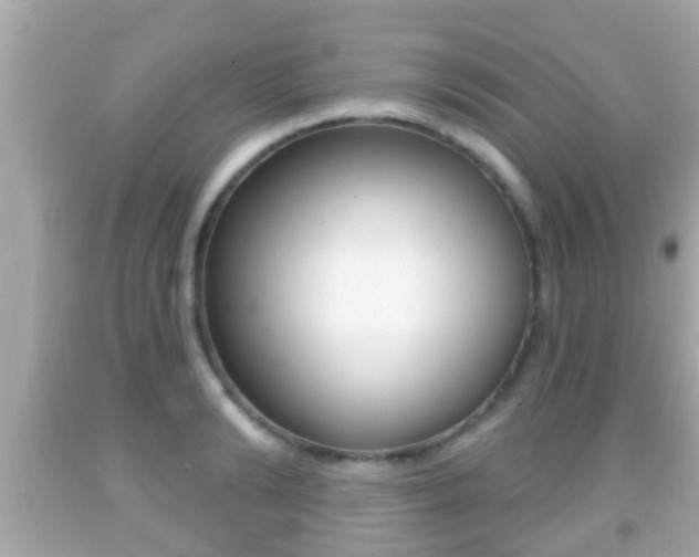 X0000092040894200709121003
