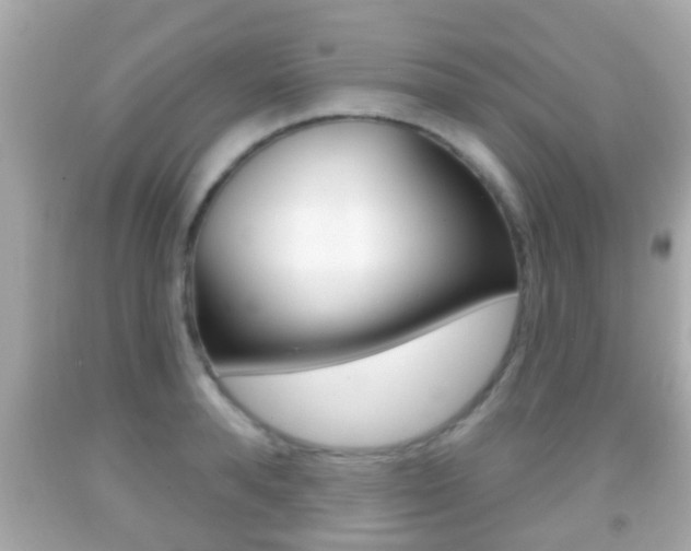 X0000092040896200709121003