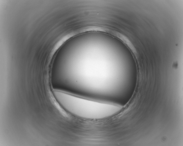 X0000092040898200709121003