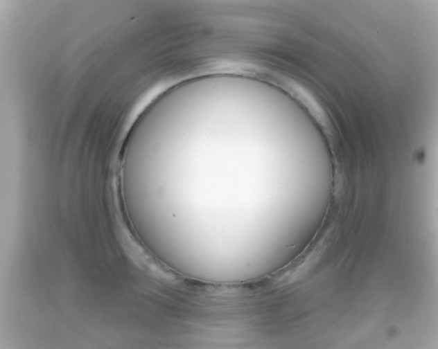 X0000092040899200709121003