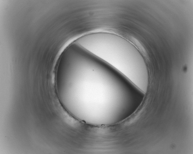 X0000092040900200709121003