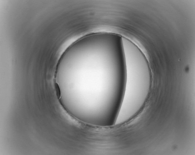 X0000092040901200709121003