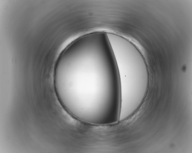 X0000092040902200709121003