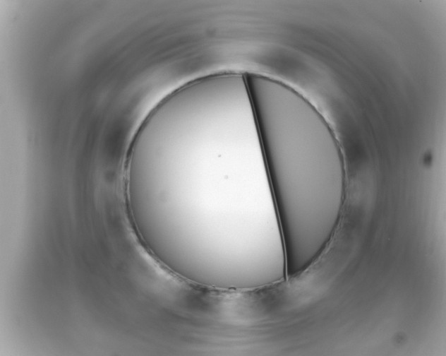 X0000092040903200709121003