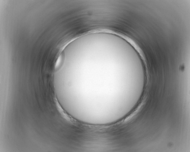 X0000092040905200709121003