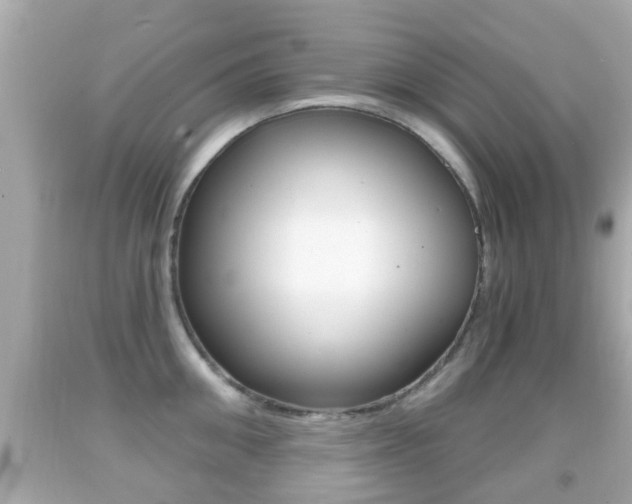 X0000092040906200709121003