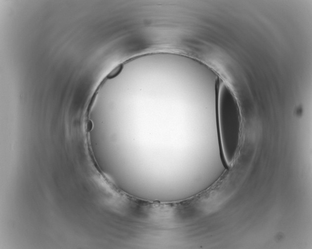 X0000092040907200709121003