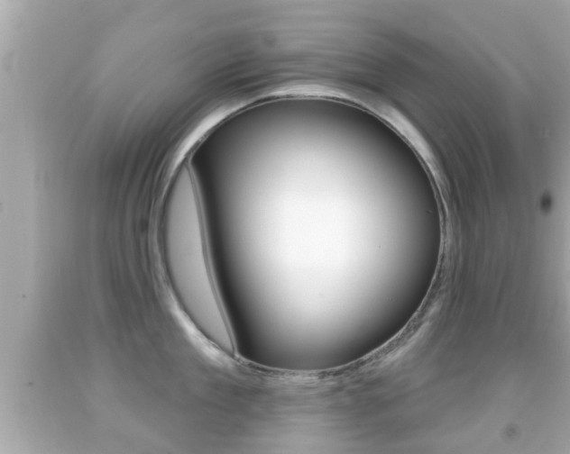 X0000092040909200709121003