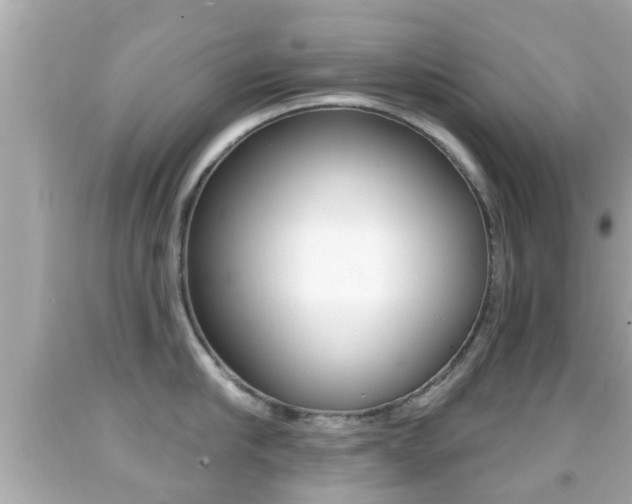 X0000092040910200709121003
