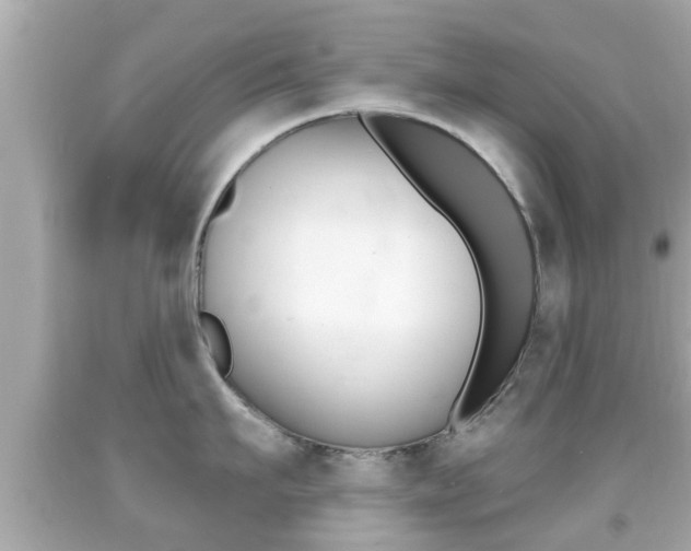 X0000092040911200709121003
