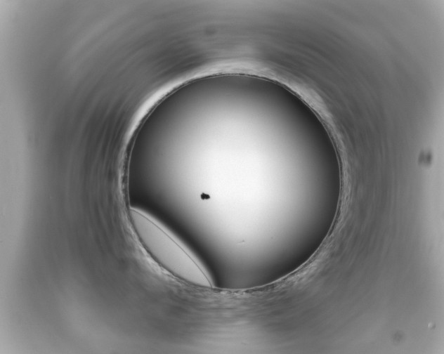 X0000092040912200709121003