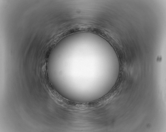 X0000092040914200709121002