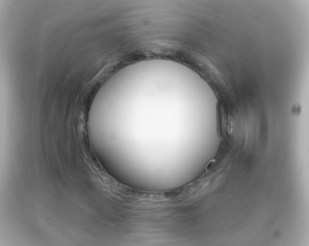 X0000092040915200709121002
