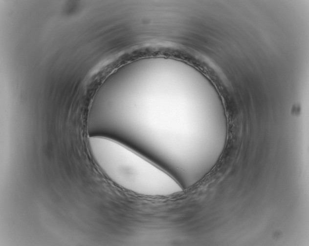 X0000092040919200709121002