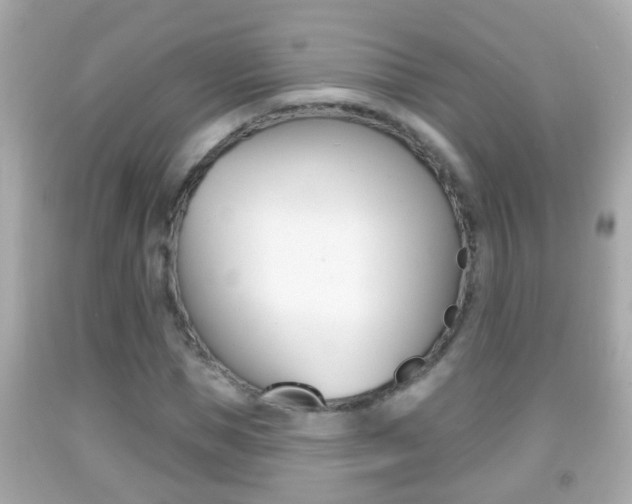 X0000092040921200709121002