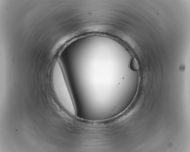 X0000092040922200709121002