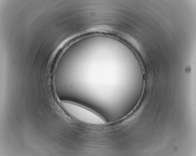 X0000092040923200709121002