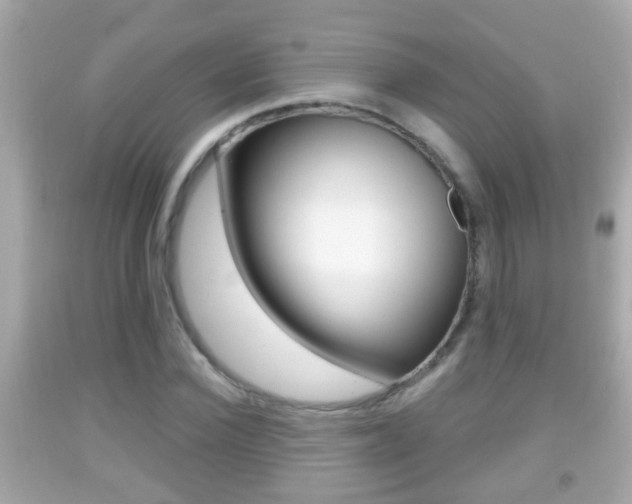 X0000092040924200709121002