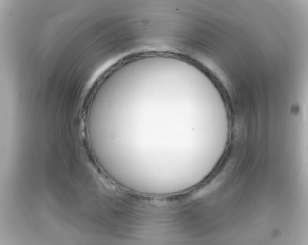 X0000092040925200709121002