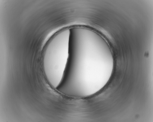 X0000092040926200709121002