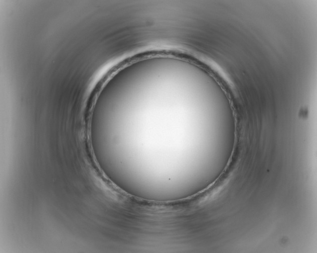 X0000092040927200709121002