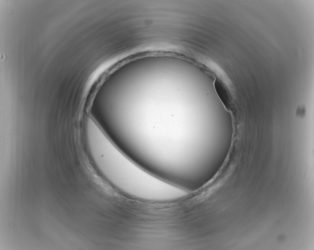 X0000092040928200709121002