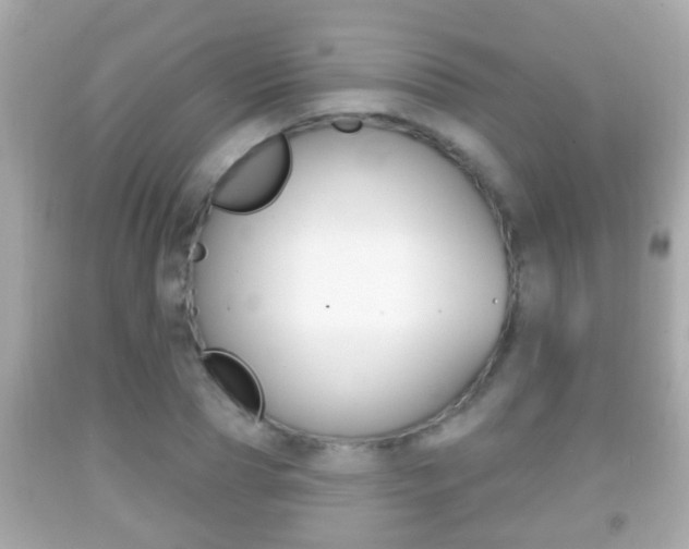 X0000092040929200709121002