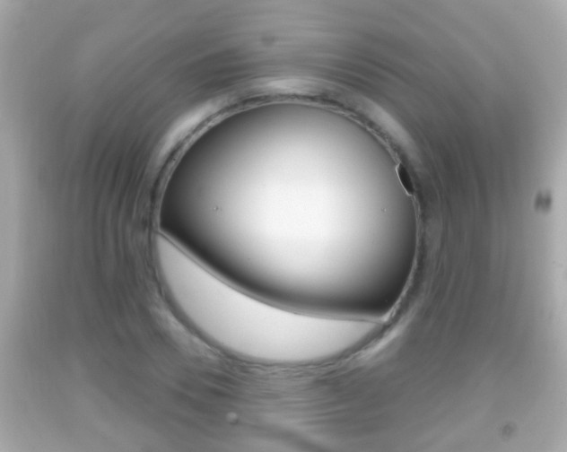 X0000092040930200709121002