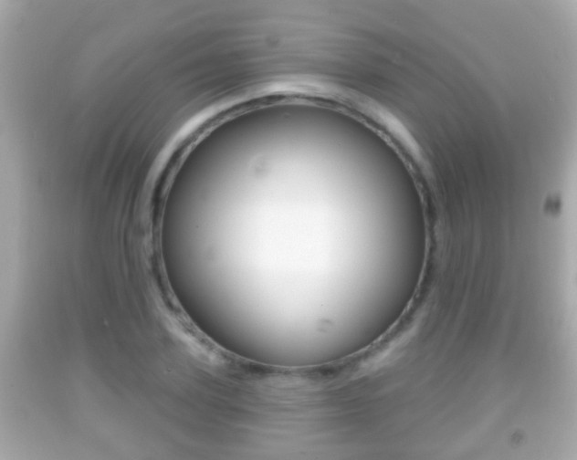 X0000092040931200709121002
