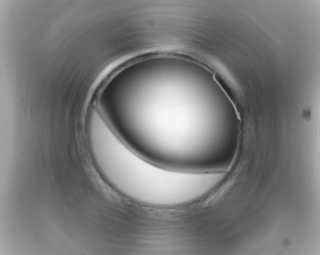 X0000092040932200709121002