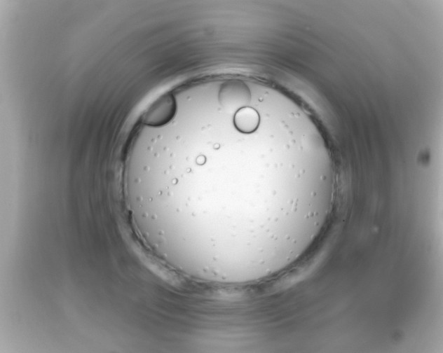 X0000092040933200709121002