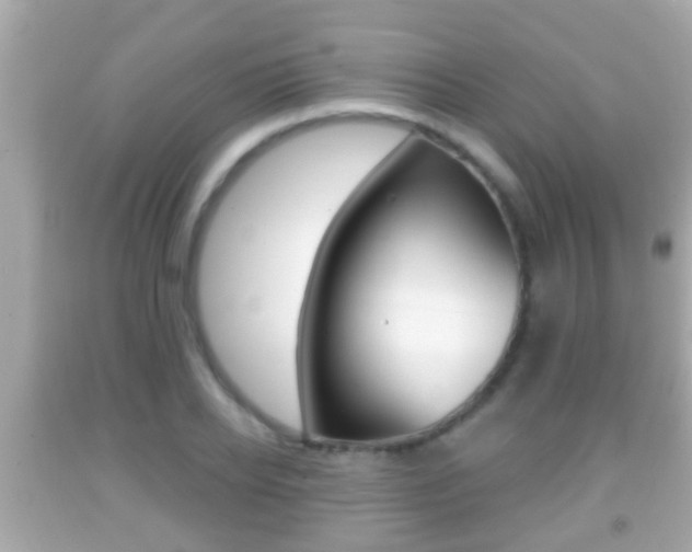 X0000092040934200709121002